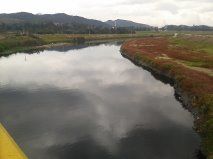 Efectos de la contaminación del Río Bogotá en la población de Soacha
