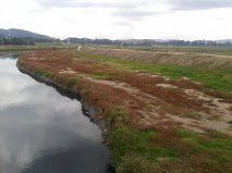 Efectos de la contaminación del Río Bogotá en la población de Soacha