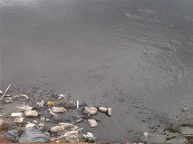 Efectos de la contaminación del Río Bogotá en la población de Soacha