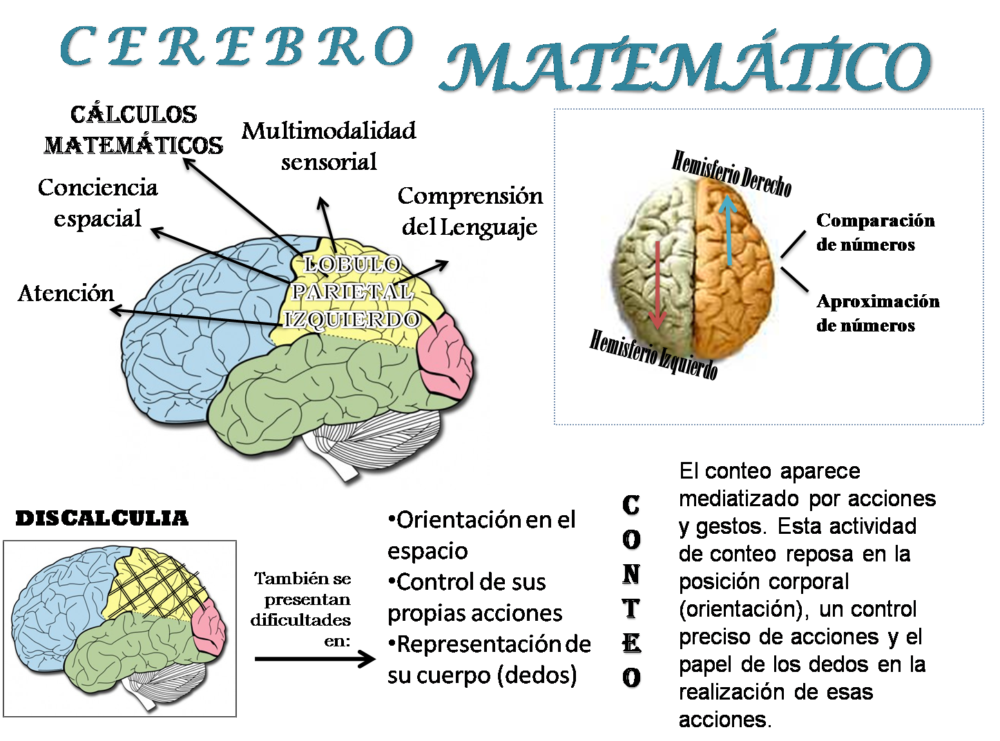 NEUROPSICOLOGÍA DE LA ESCRITURA - LECTURA - CÁLCULO