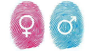 Conflictos frente a la orientación sexual de los individuos