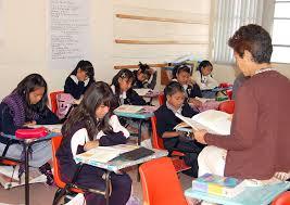 De qué manera llegue a escoger la carrera que en este momento curso en la UNAD.