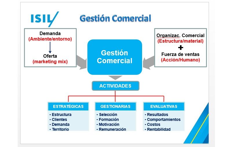 Estructura comercial ¿Cómo se organiza el área comercial de una empresa 6