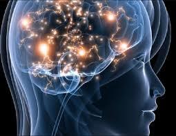 PLASTICIDAD CEREBRAL