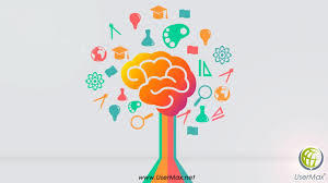 PLASTICIDAD CEREBRAL