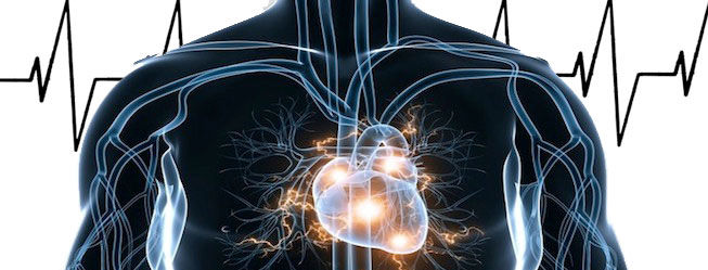 La electricidad en nuestro cuerpo.