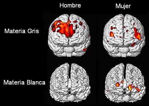 LA PERSONALIDAD PUEDE INFLUIR SOBRE EL ENVEJECIMIENTO DEL CEREBRO