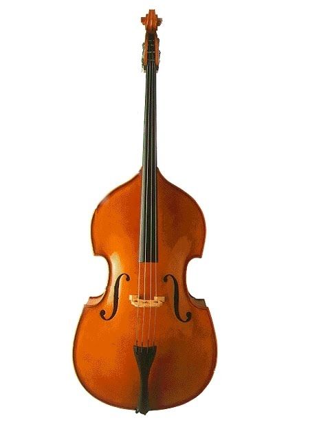 MUSIKA INSTRUMENTUEN FAMILIAK