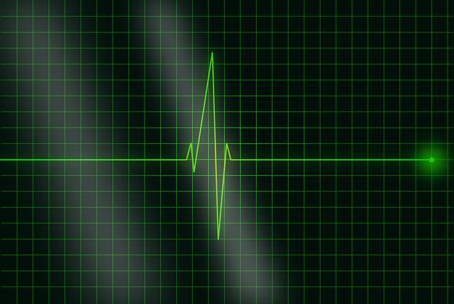 Responsabilidad y sanciones en Materia de Seguridad y Salud Laboral
