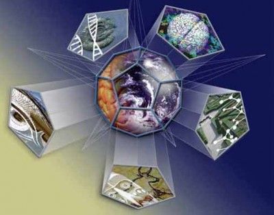 ¿Complejidad o simplicidad? En busca de la unidad de la ciencia Walter Riofrío Ríos