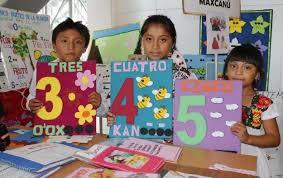 Parametros Curriculares para la educación indígena