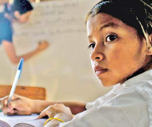 Parámetros Curriculares para la Educación Indígena