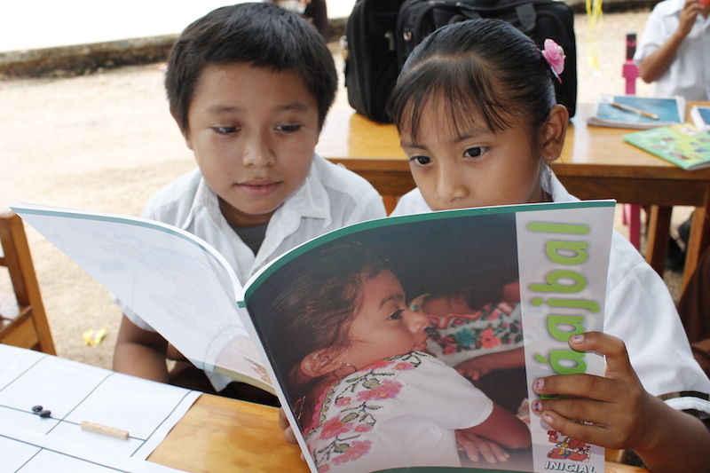 Parámetros curriculares para la educación indígena