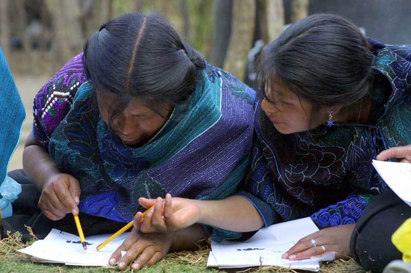 Parámetros curriculares para la educación indígena