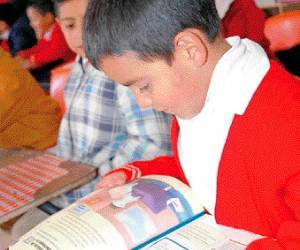 Parámetros Curriculares para la educación indígena
