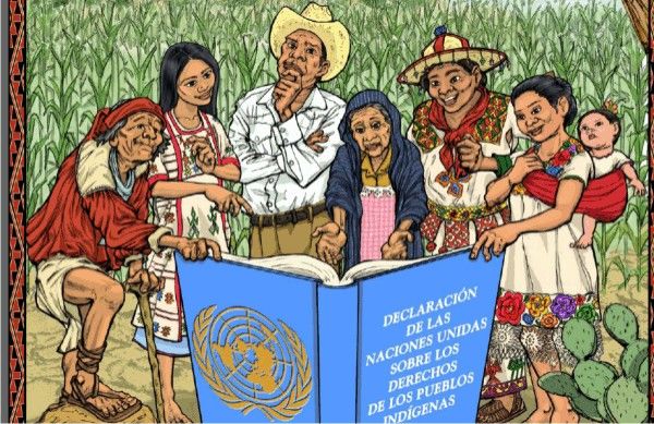 Parámetros Curriculares para la educación Indígena