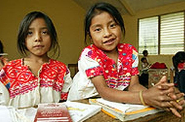 Parámetros Curriculares para la educación indígena