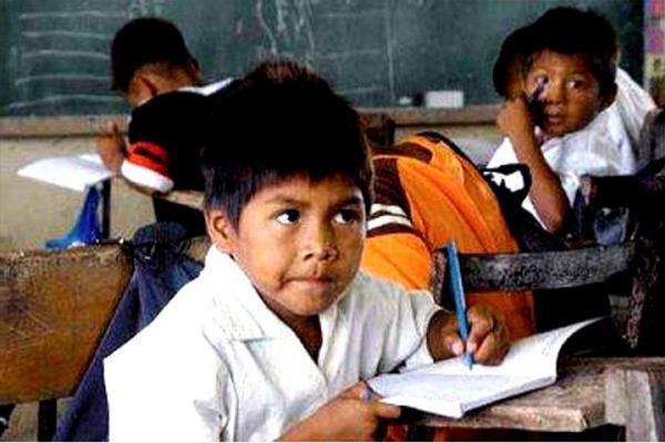 Parámetros curriculares para la educación indígena