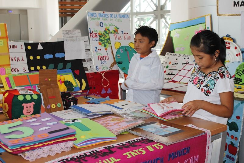 Parámetros curriculares para la educación indígena