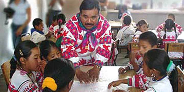 Parámetros curriculares para la educación indígena