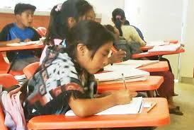 Parámetros Curriculares para la Educación Indígena