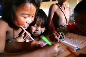 Parámetros Curriculares para la Educación Indígena