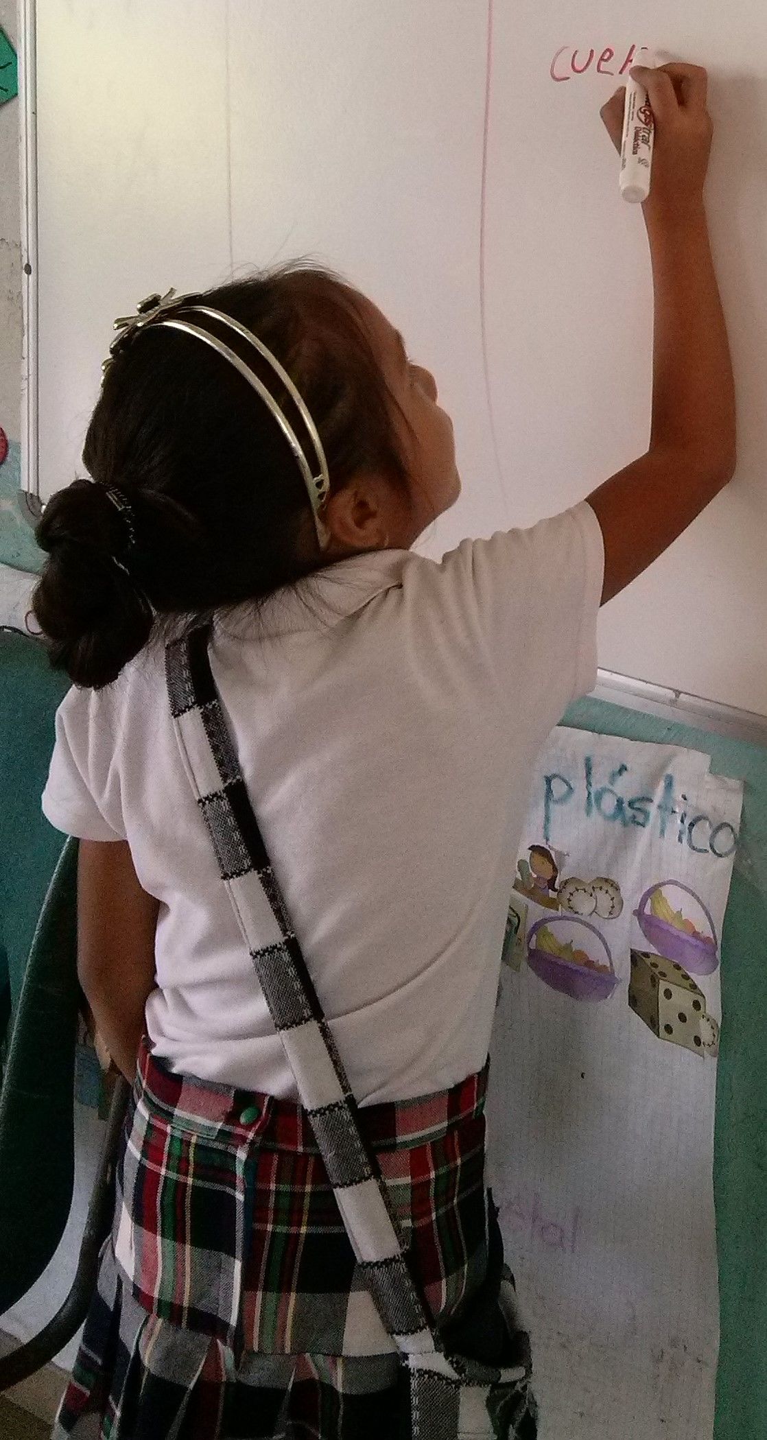 Parámetros Curriculares para la educación indígena.