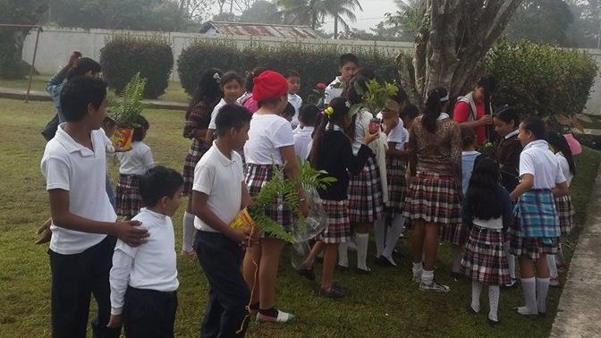 Parámetros Curriculares para la educación indígena.