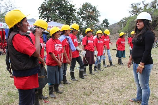 ORGANIZACION PUBLICA /ONG (cuenta con lider y su equipo bien involucrados)