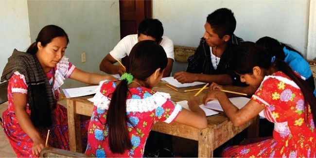 PARAMETROS CURRICULARES PARA LA EDUCACIÓN INDIGENA
