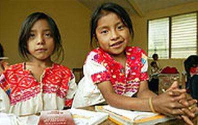 PARAMETROS CURRICULARES PARA LA EDUCACIÓN INDIGENA