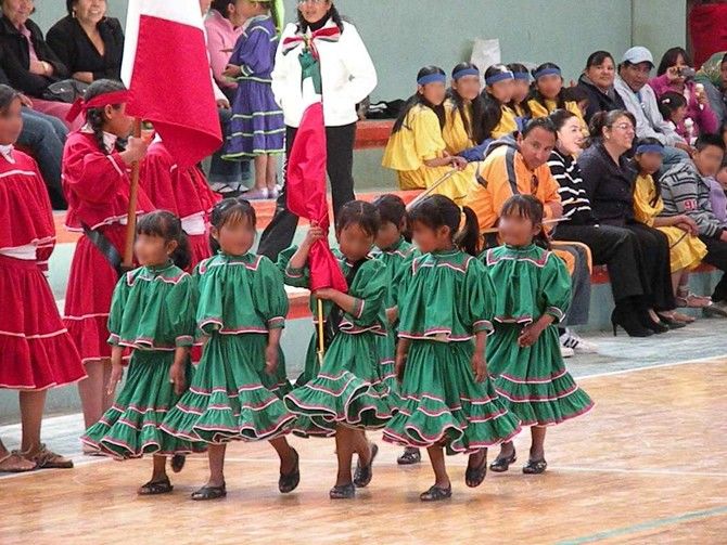 PARAMETROS CURRICULARES PARA LA EDUCACIÓN INDIGENA