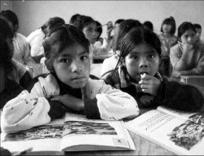 Parámetros curriculares para la educación indígena.