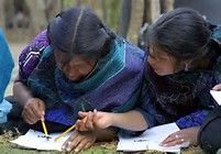Parámetros Curriculares para la educación indígena