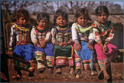 PARÁMETROS CURRICULARES PARA LA EDUCACIÓN INDÍGENA
