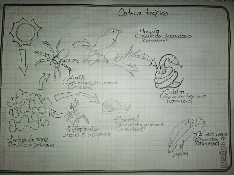 Humedal de Guaymaral-Torca