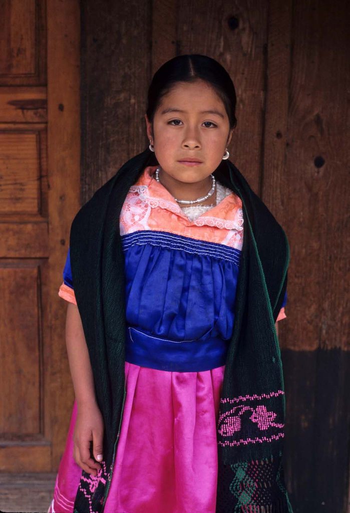 CURRICULARES PARA LA EDUCACIÓN INDIGENA