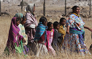 CURRICULARES PARA LA EDUCACIÓN INDIGENA