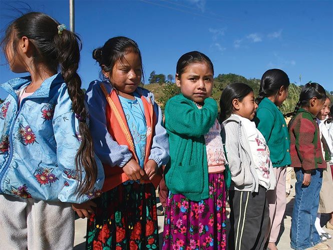 CURRICULARES PARA LA EDUCACIÓN INDIGENA