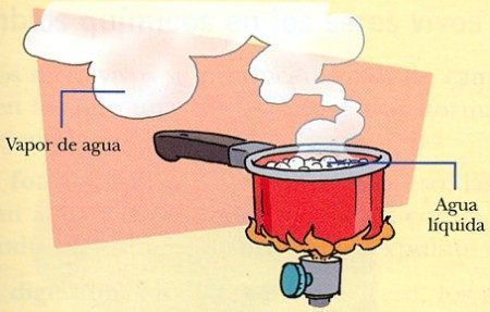 Propiedades Físicas De La Materia