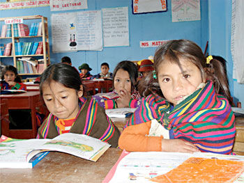 parametros curriculares para la educacion indigena