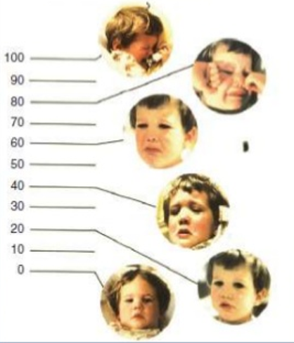 Evaluación del dolor