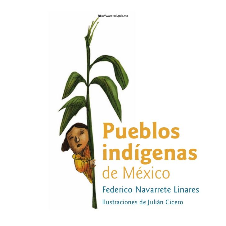 Parámetros curriculares para la Educación Indigena
