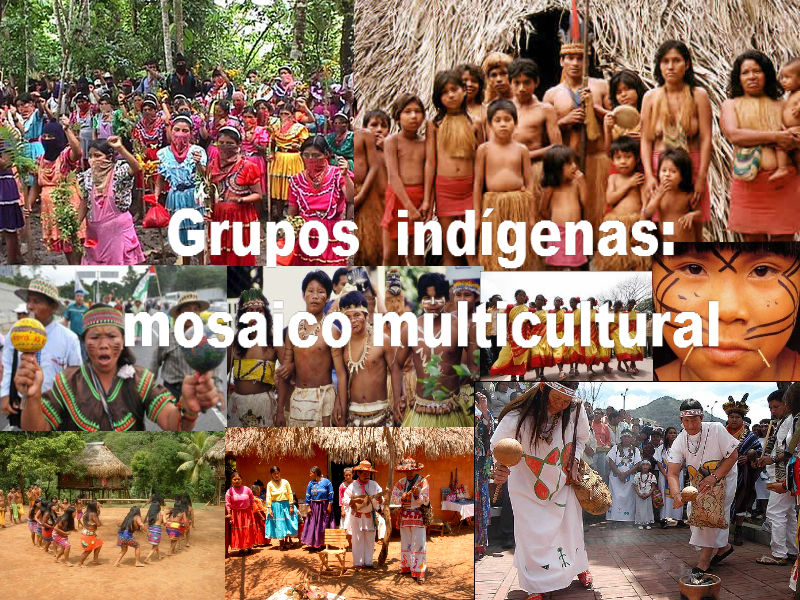 PARAMETROS CURRICULARES PARA LA EDUCACION INDIGENA