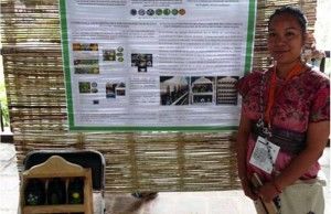 Parámetros Curriculares para la Educación Indígena