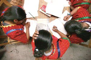 Parámetros Curriculares para la Educación Indígena