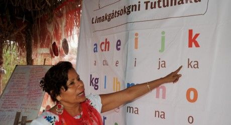 Parámetros Curriculares para la Educación Indígena