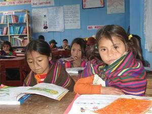 Parámetros Curriculares para la educación indígena