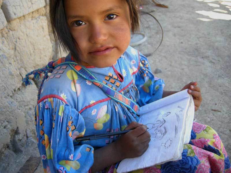 Parámetros curriculares para la Educación Indígena