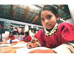 Parámetros curriculares para la Educación indigena